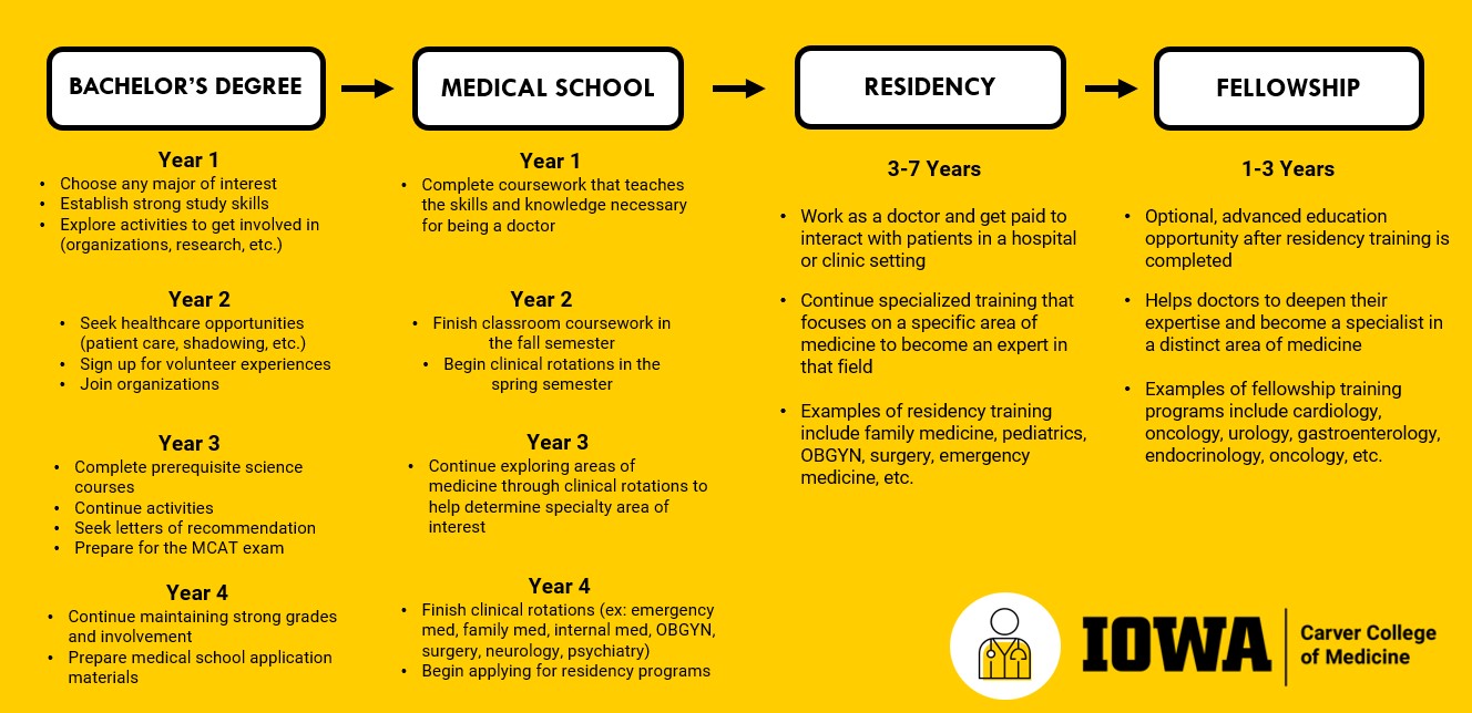 Becoming a doctor timeline