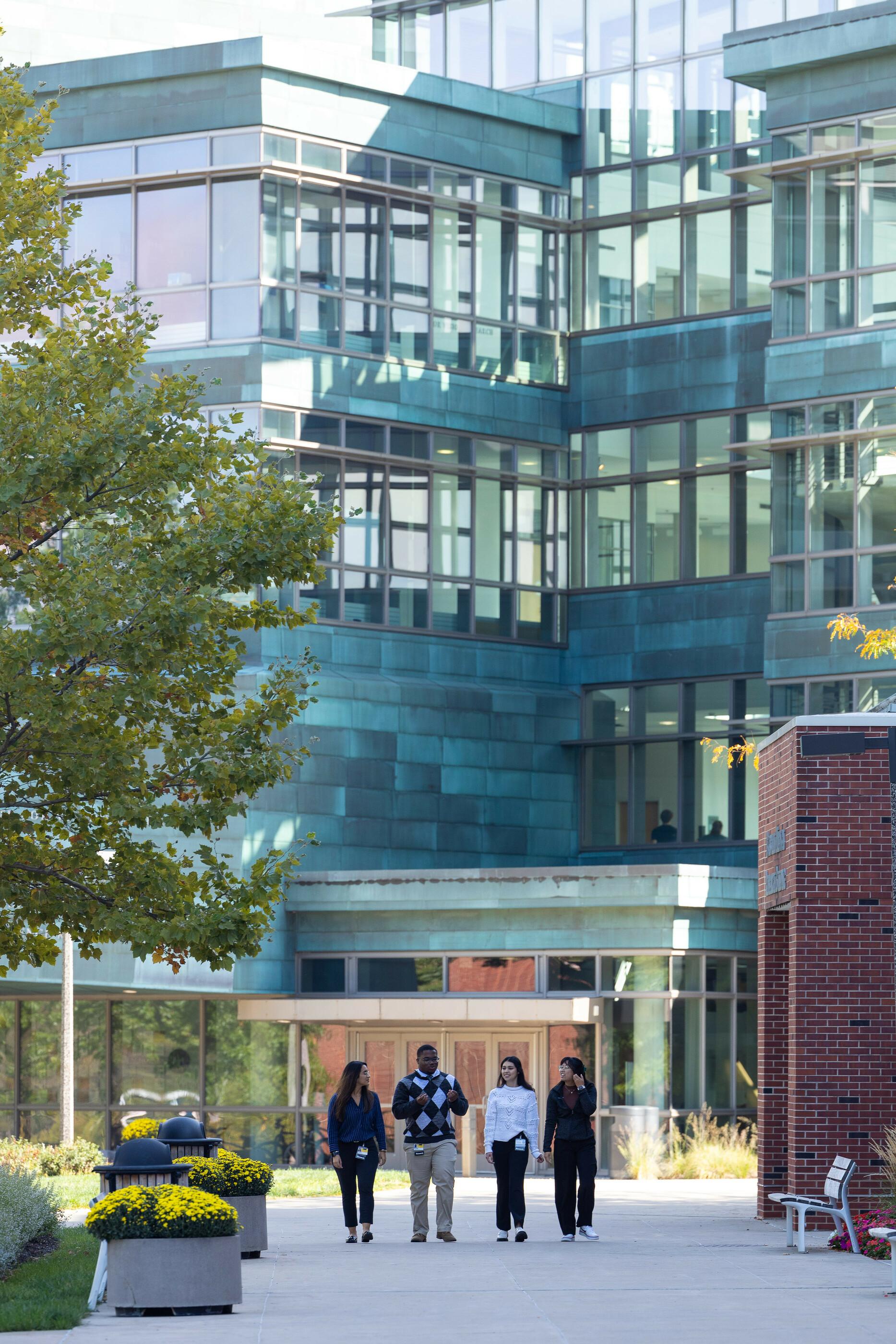 Four students walk side-by-side on the medical campus