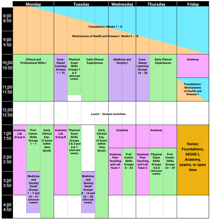 Table detailing schedule for typical M1 or PA1 student