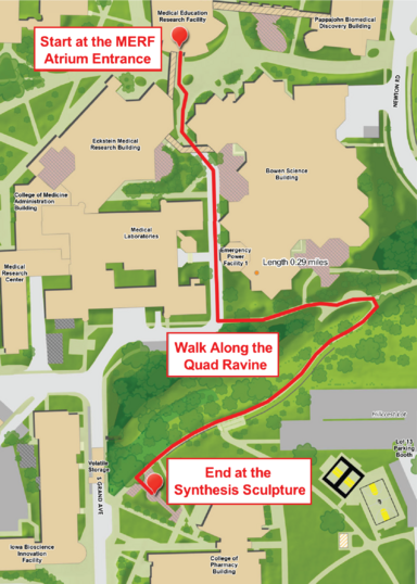 a map of campus with a red line along the walking route