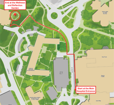 a map of campus with a red line along the walking route