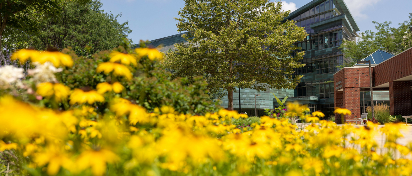 Carver College of Medicine campus with summer flowers on Friday, July 12, 2024.