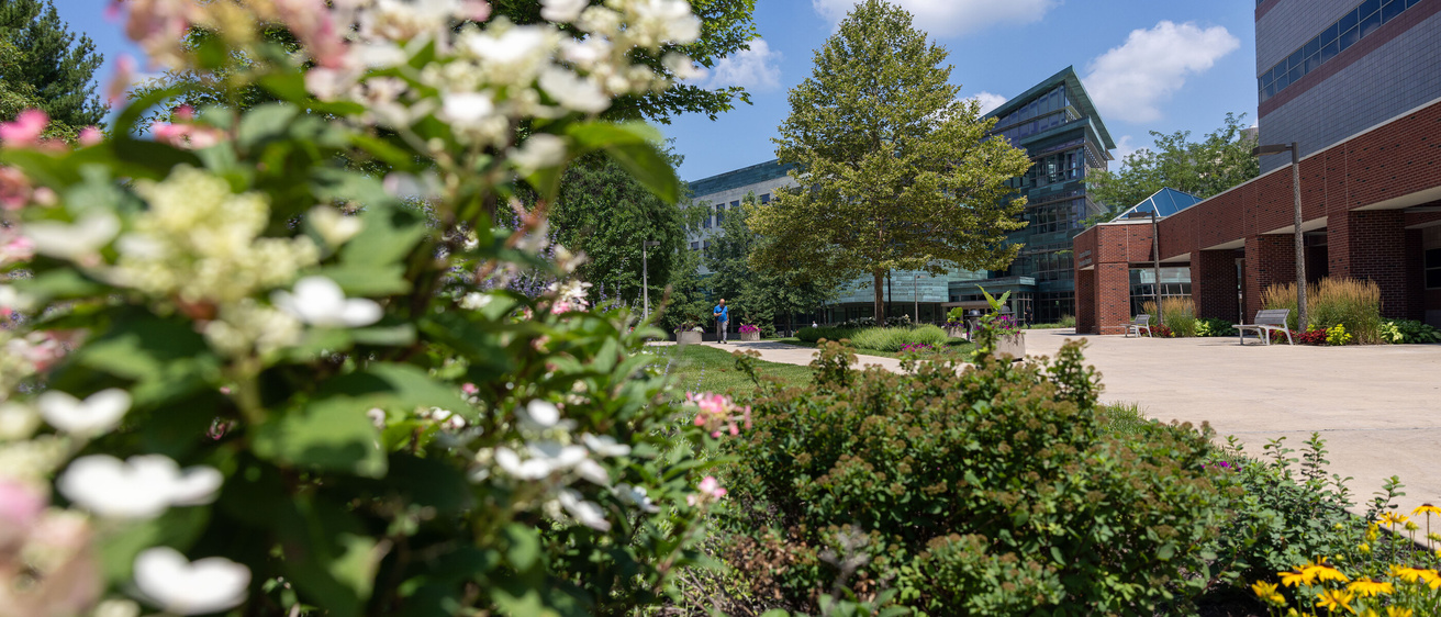 Carver College of Medicine campus with summer flowers on Friday, July 12, 2024.
