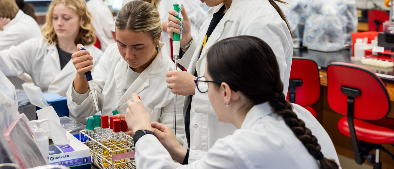 Regina McGrane’s undergraduate General Microbiology lab class at the Carver College of Medicine on Wednesday, April 16, 2025. 
