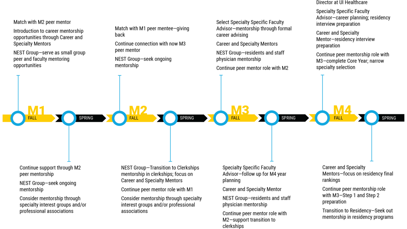 Mentoring timeline